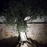 Vila Greta Polignano a Mare