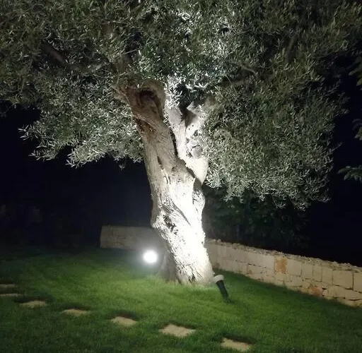 Greta * Polignano a Mare